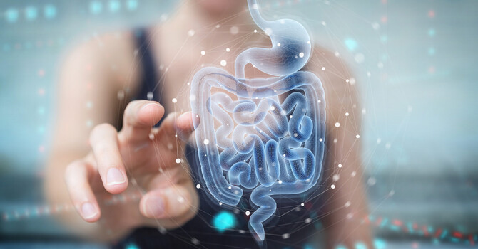 Fortify Your Microbiome: Create Harmony Between Gut & Skin Health image