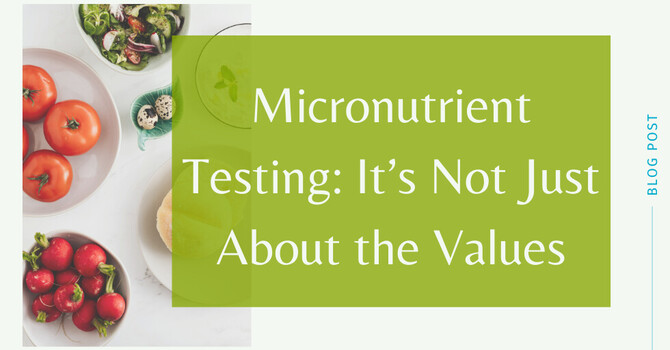 Micronutrient Testing: The Truths the Values Reveal image