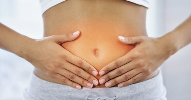 Gut Health Assessment