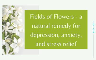 Fields of Flowers – A Natural Remedy for Depression, Anxiety, and Stress Relief