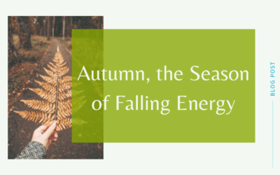 Autumn, the Season of Falling Energy