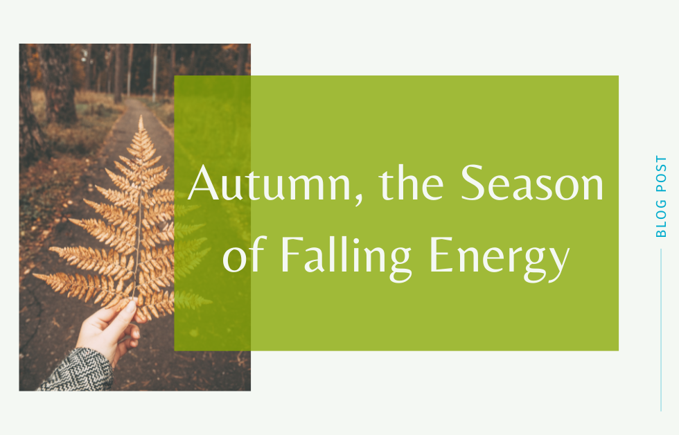 Autumn, the Season of Falling Energy
