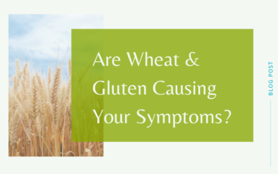Are Wheat & Gluten Causing Your Symptoms?