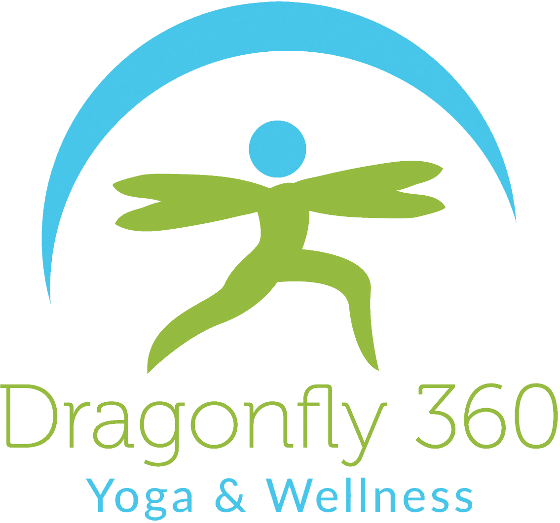 Dragonfly 360 logo
