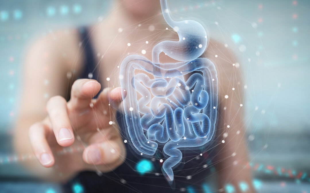 Fortify Your Microbiome: Create Harmony Between Gut & Skin Health